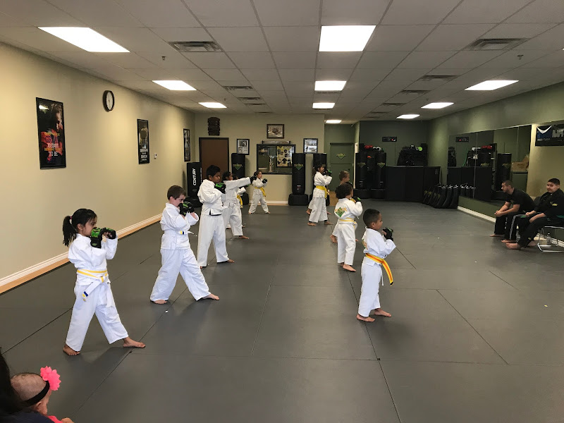 Premier Martial Arts Plano, Tx